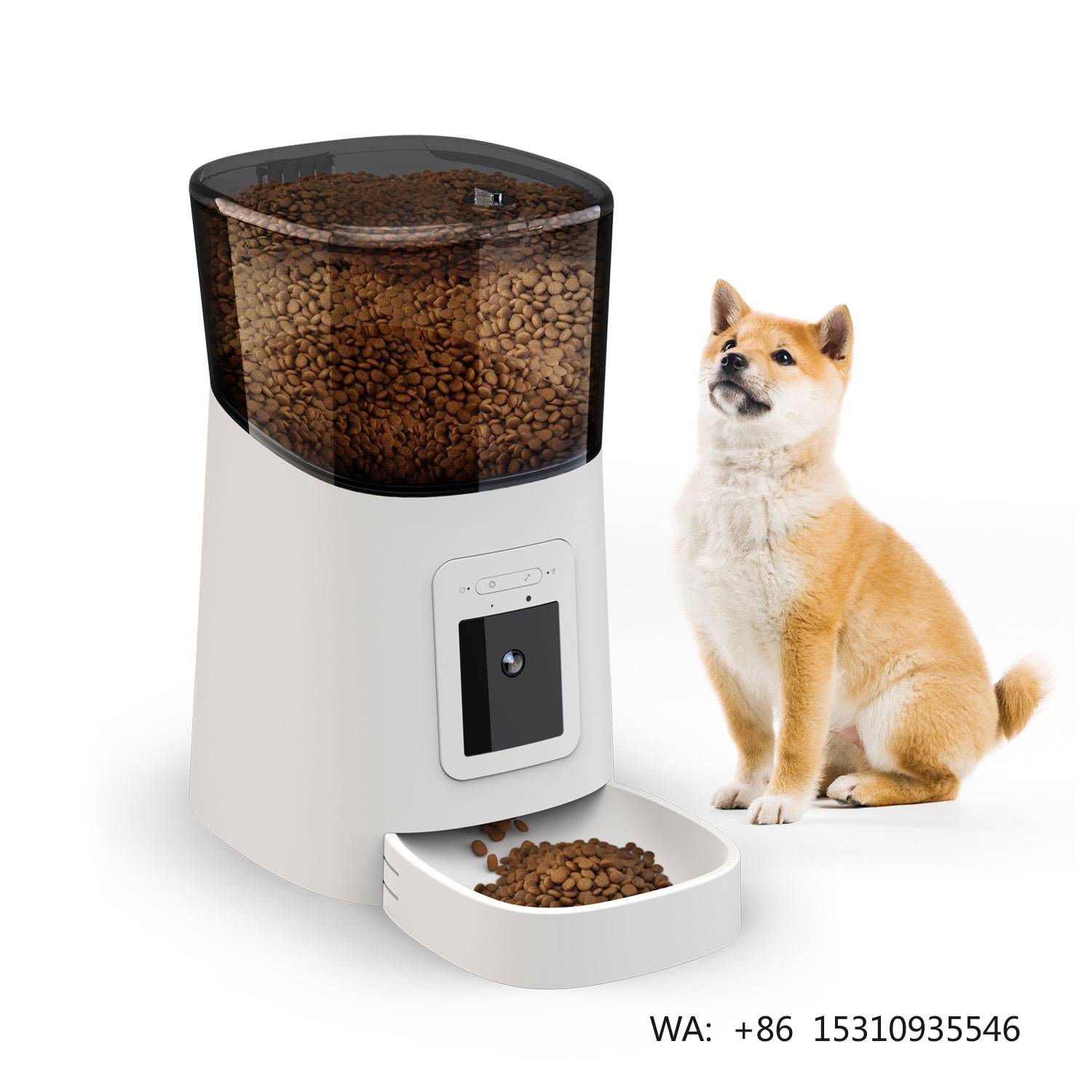 Best Food Storage - Alimentador Automático Inteligente para Gatos em