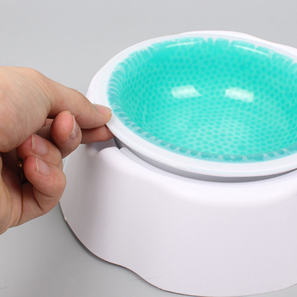 1Pç Tigela Refrigeradora para  - Storage Tips For Food avaliação e preço