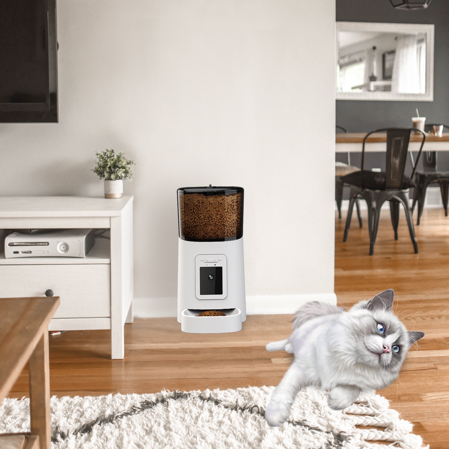 Alimentador Automático Intelig - Best Food Storage avaliação e preço