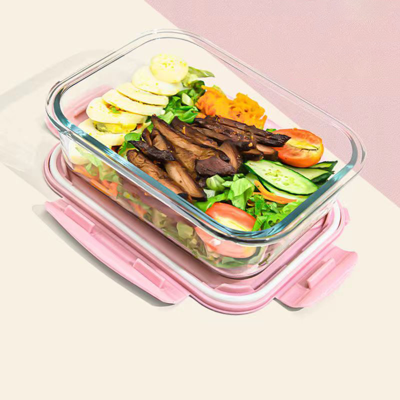 Novo estilo lancheira de vidro - Food Storage Glass Box avaliação e preço